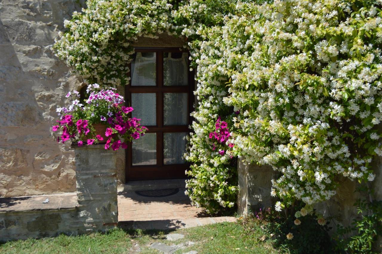 Bellavista Villa Seggiano Dış mekan fotoğraf