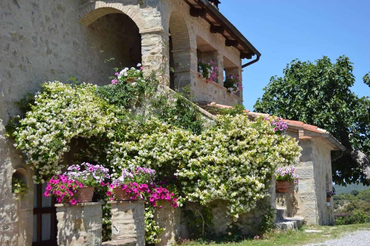 Bellavista Villa Seggiano Dış mekan fotoğraf