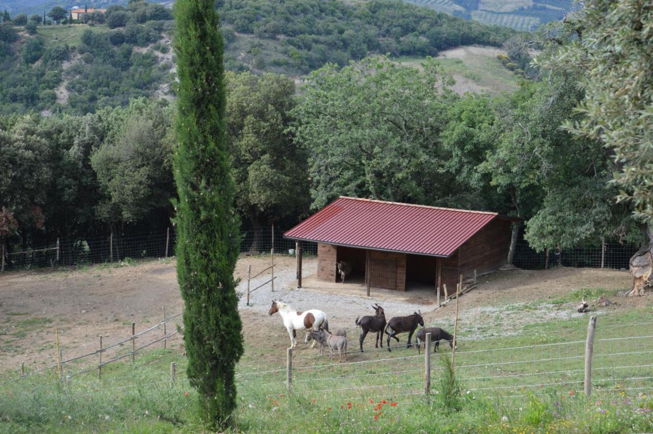 Bellavista Villa Seggiano Dış mekan fotoğraf
