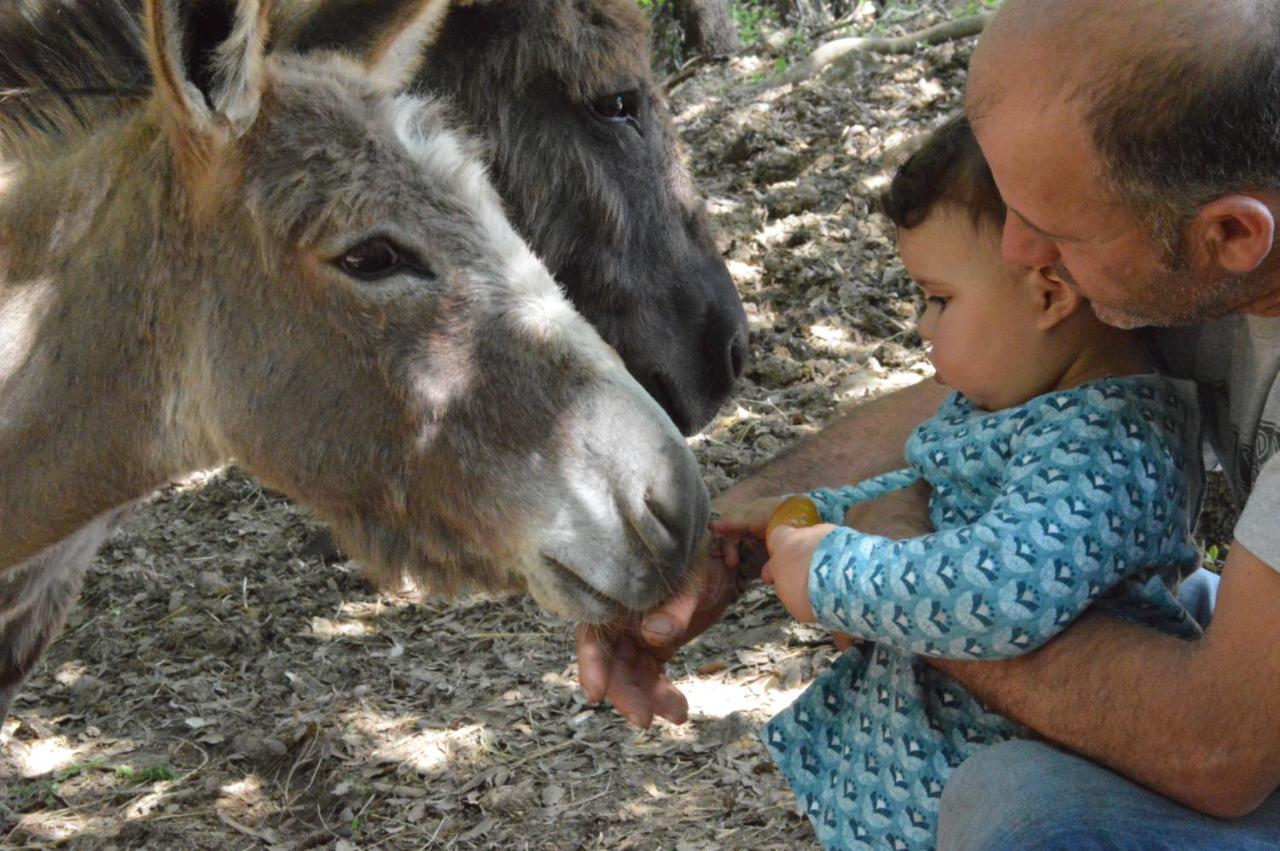 Bellavista Villa Seggiano Dış mekan fotoğraf