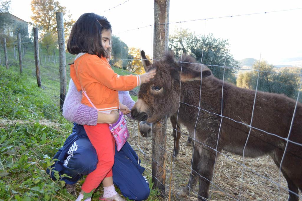 Bellavista Villa Seggiano Dış mekan fotoğraf