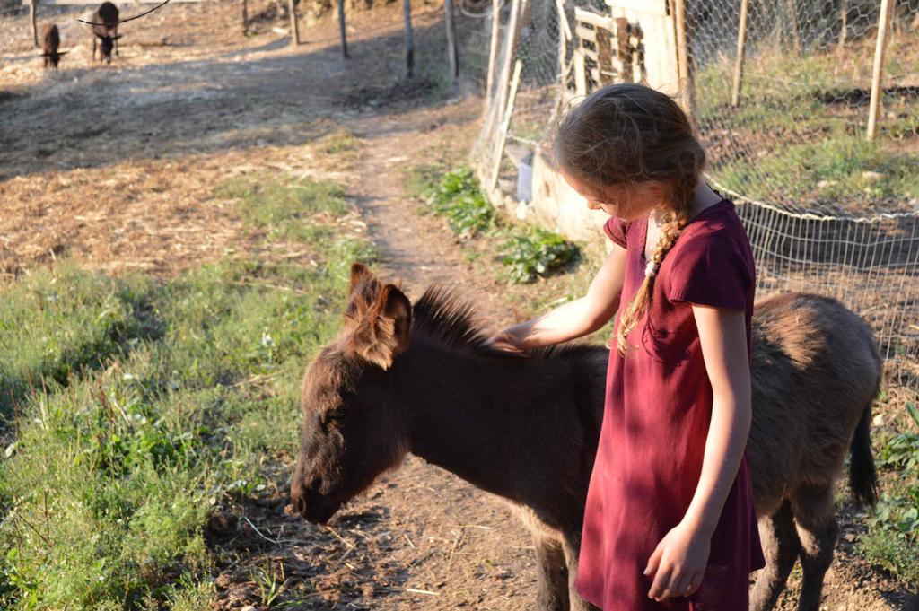 Bellavista Villa Seggiano Dış mekan fotoğraf