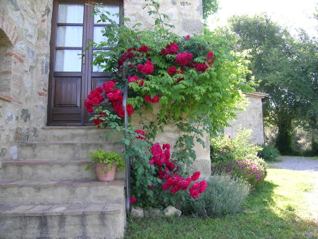 Bellavista Villa Seggiano Dış mekan fotoğraf