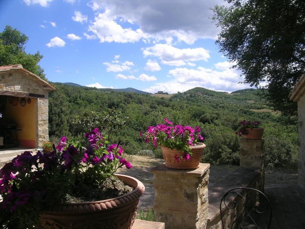 Bellavista Villa Seggiano Dış mekan fotoğraf