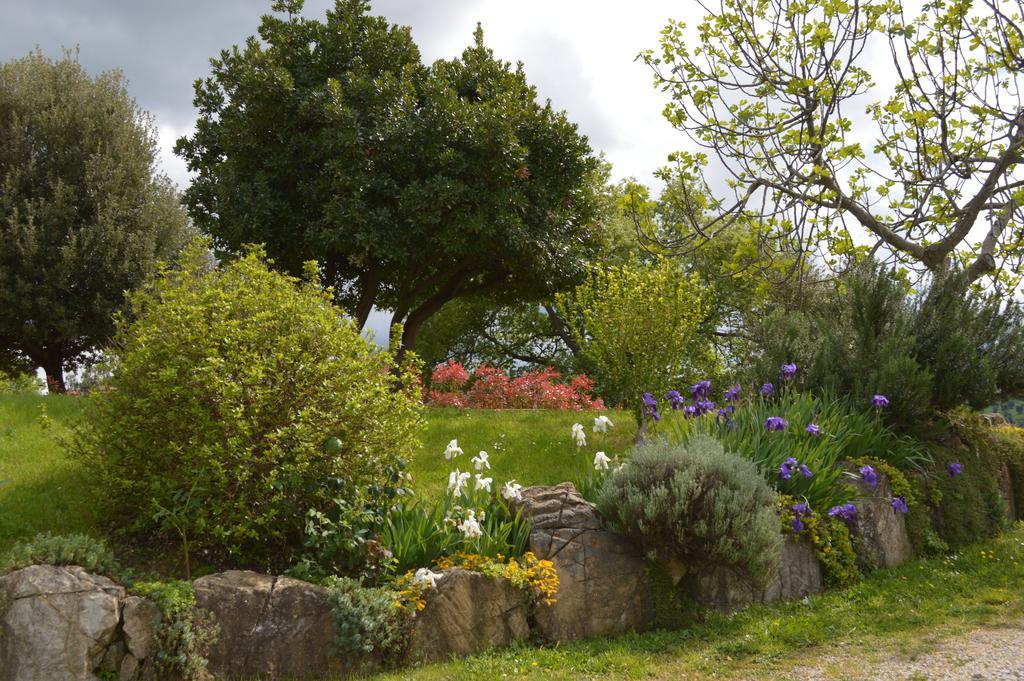 Bellavista Villa Seggiano Dış mekan fotoğraf